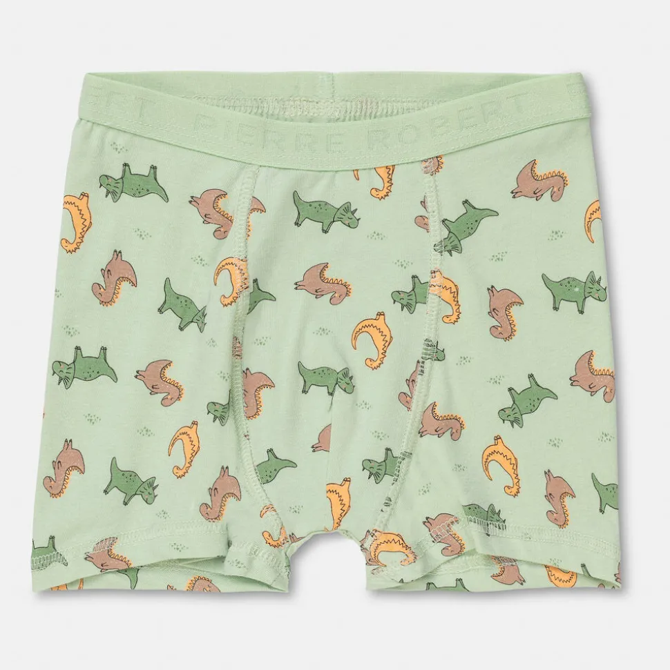 Boxershorts I Bomull Liten Gutt