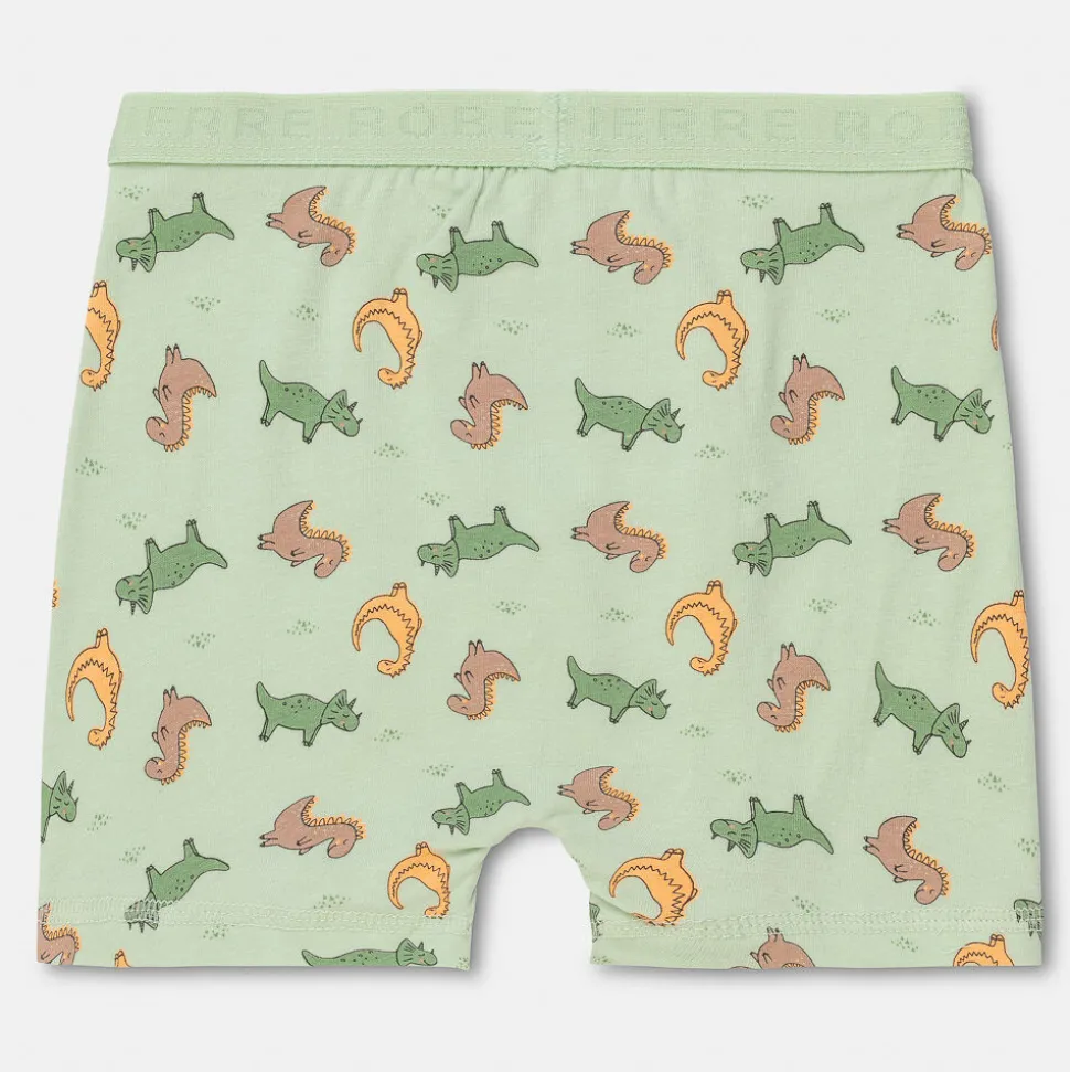 Boxershorts I Bomull Liten Gutt